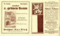 Pfälzer Fahnenmalerei. Werbeseite in einer Festschrift zum 50jährigen Bestehen des hiesigen Kriegervereines.1926.